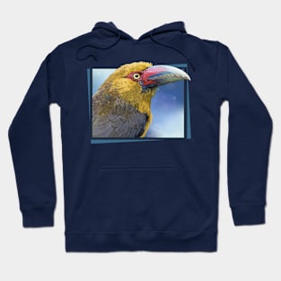 toucan Hoodie